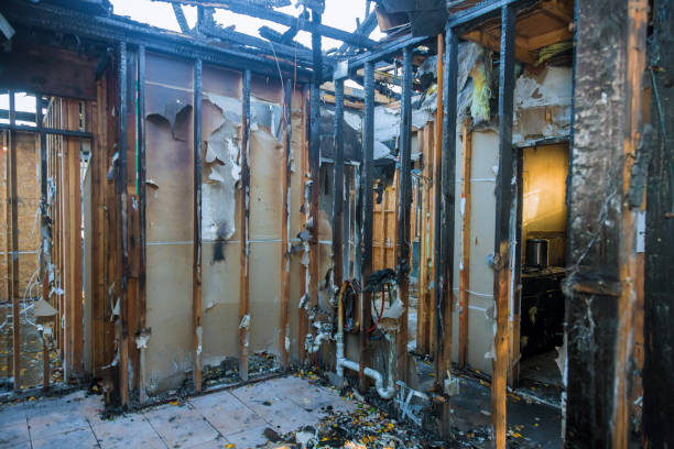 Professional Smoke Damage Removal technician working in Deephaven, MN